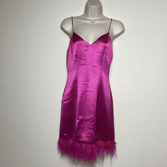 CAMI NYC Roxanne Feather Dress NWT - Picture 7 of 11